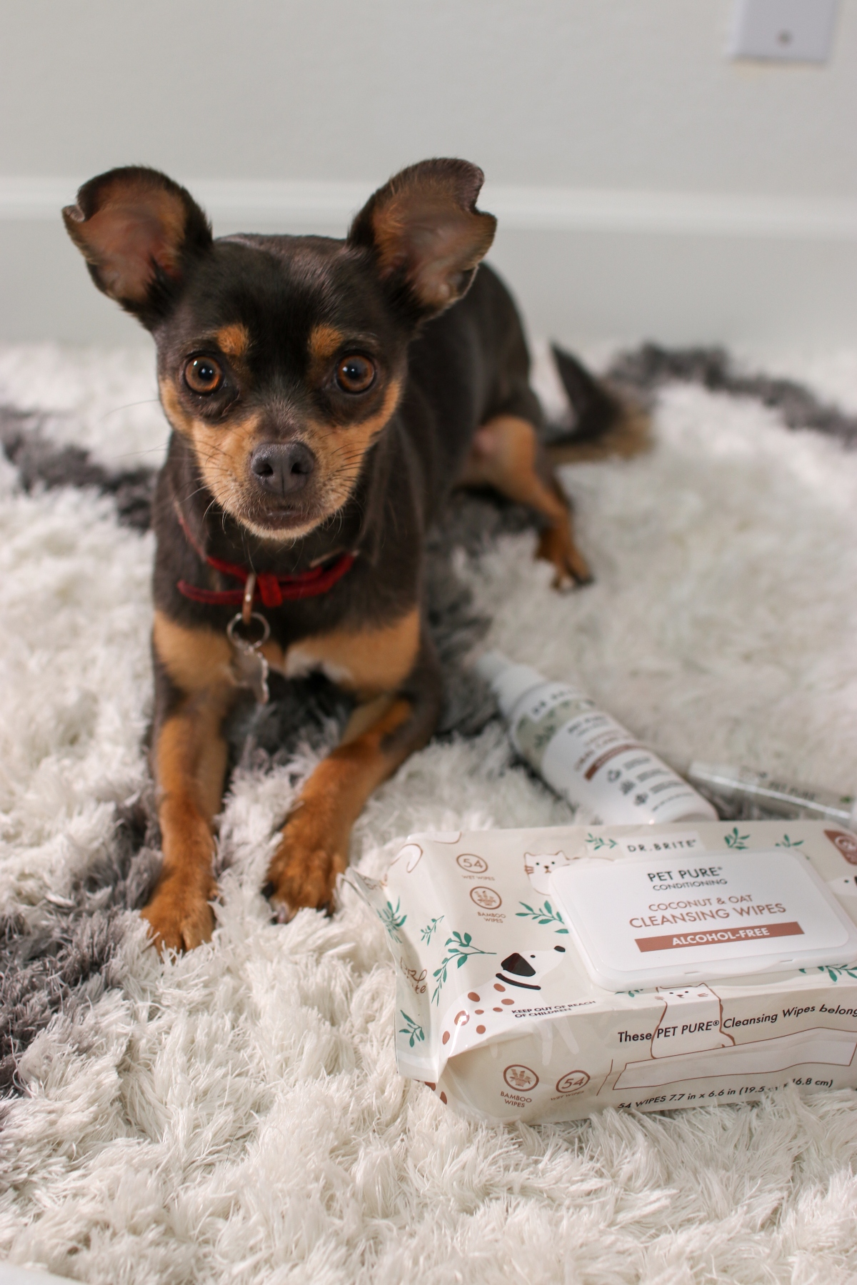 Dr. Brite Pet Care Products | Products made with love for your furry friend