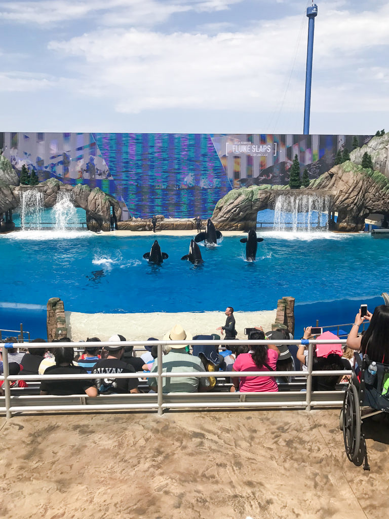 Behind The Scenes Family Day at SeaWord's San Diego with The Moms + SeaWorld Family 4-Pack Ticket Giveaway!!!