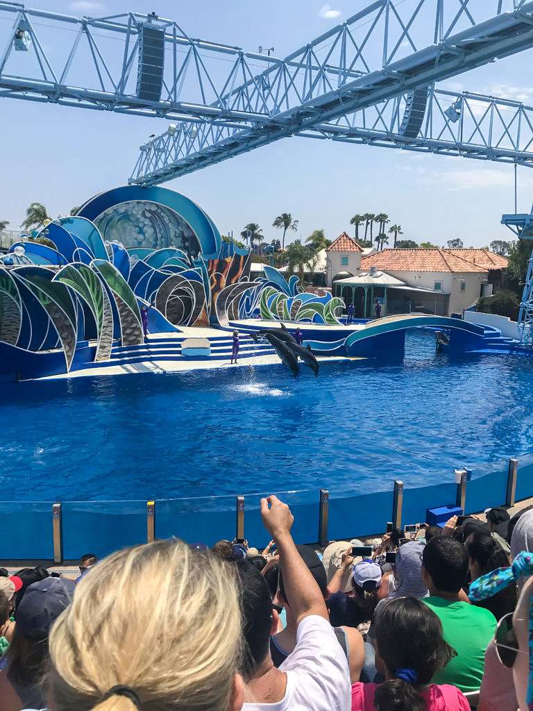 Behind The Scenes Family Day at SeaWord's San Diego with The Moms + SeaWorld Family 4-Pack Ticket Giveaway!!!