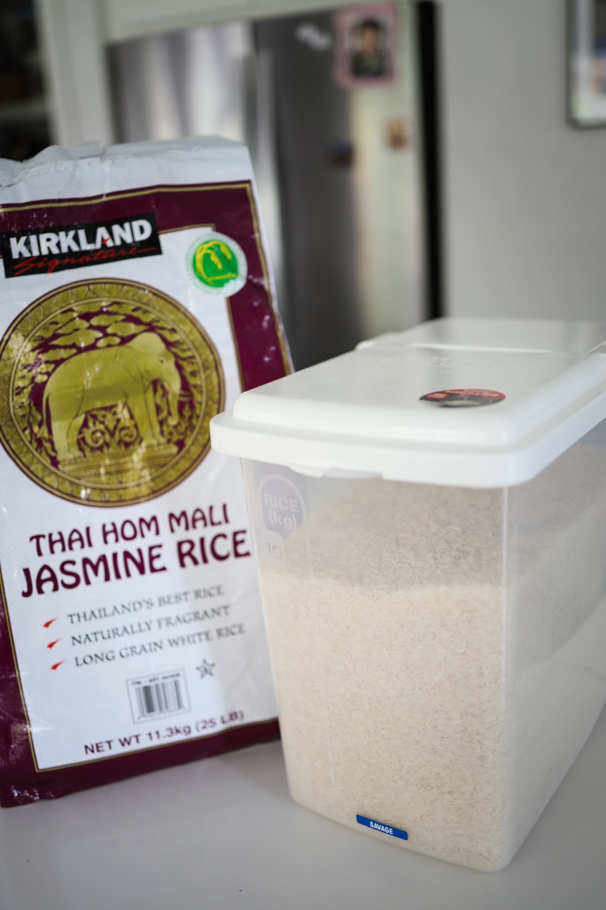 Raw Rice Storage Container