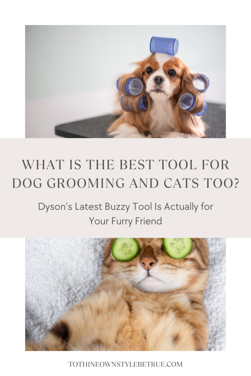 Dyson’s Latest Buzzy Tool Is Actually for Your Furry Friend